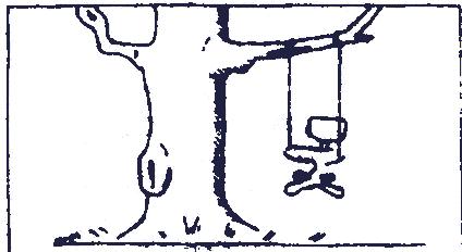 Desk chair swinging from a tree branch.