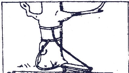 Bench tied to the trunk of a tree with two ropes.