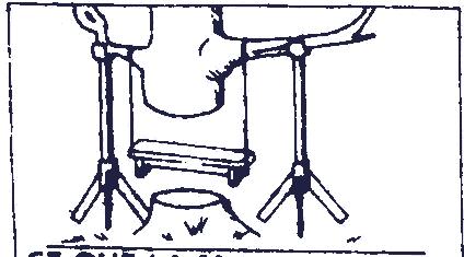 Section of tree trunk removed, tree on supports.