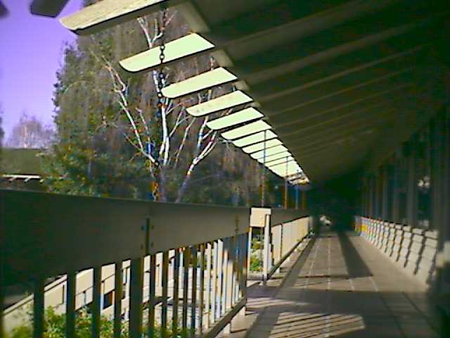 View out the window.